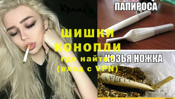 ГАЛЛЮЦИНОГЕННЫЕ ГРИБЫ Балабаново