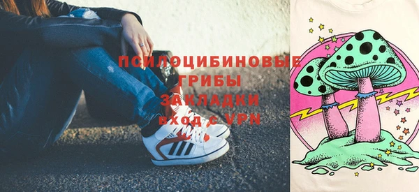 ГАЛЛЮЦИНОГЕННЫЕ ГРИБЫ Балабаново